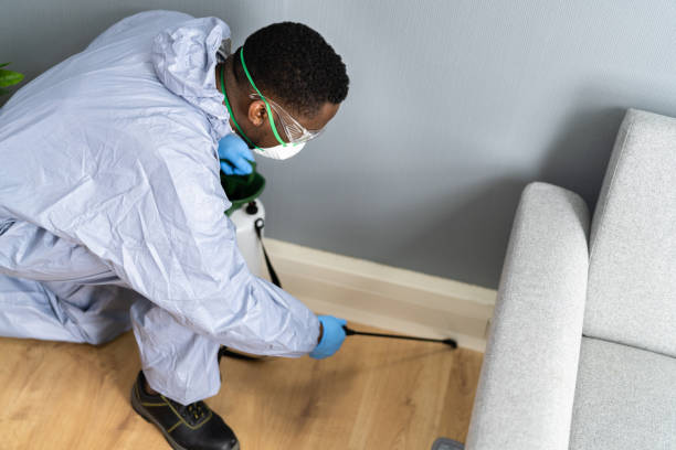 Best Termite Inspection and Treatment  in Bridgman, MI